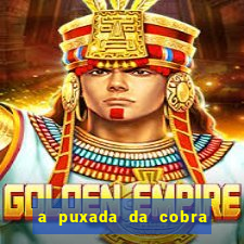 a puxada da cobra no jogo do bicho